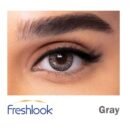 freshlook colorblends gray color lenses