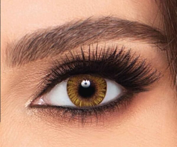 freshlook one day colorblends pure hazel color contact lenses